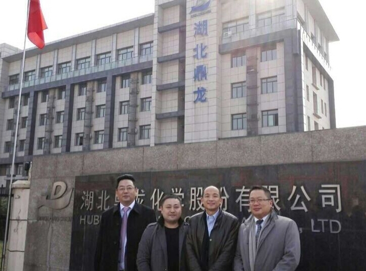 湖北鼎龍領(lǐng)導(dǎo)與和承信息領(lǐng)導(dǎo)合影留念