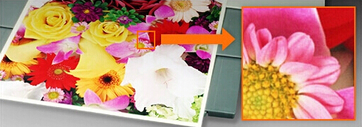 柯尼卡美能達C221原裝碳粉輸出效果